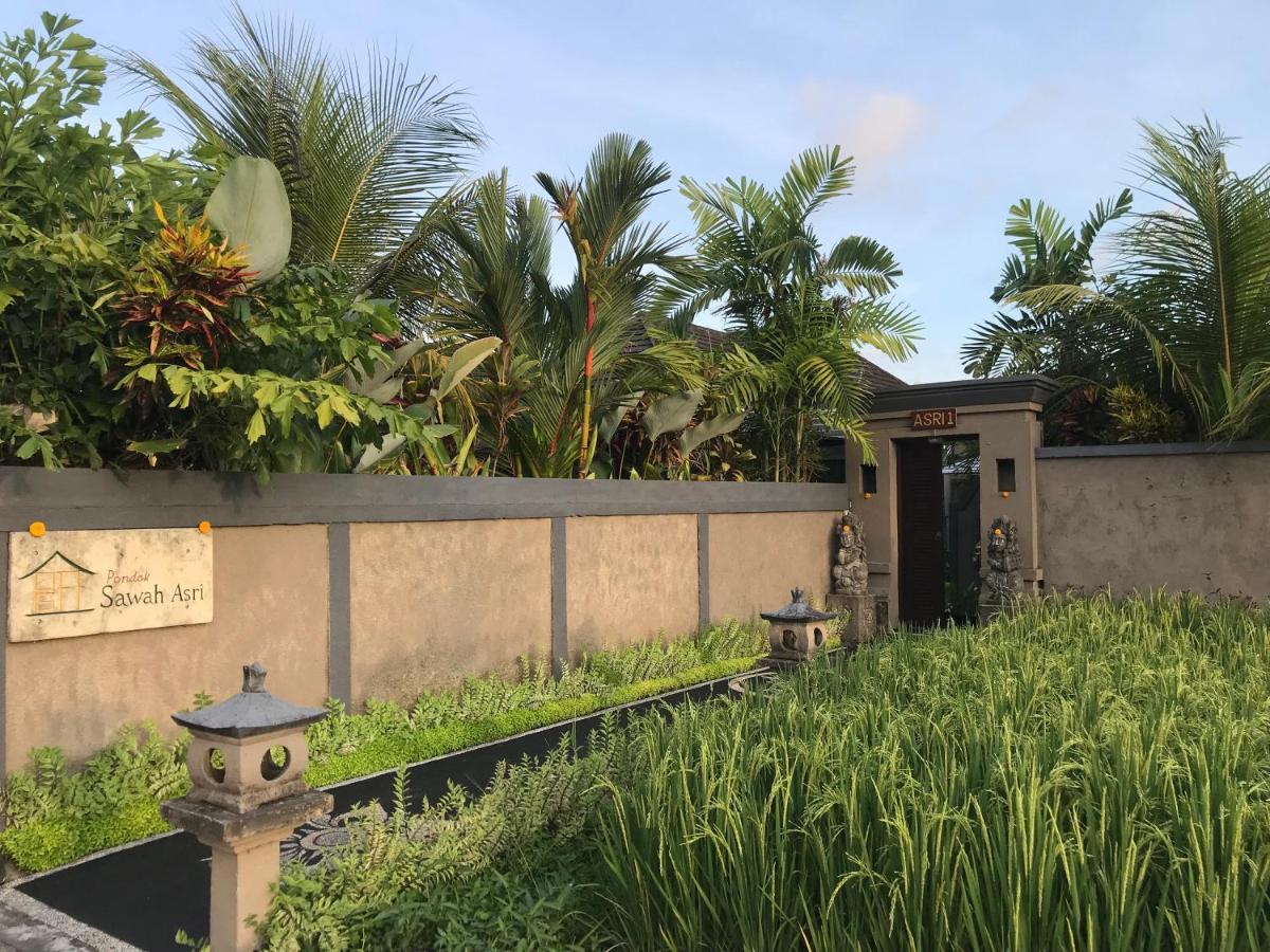 Pondok Sawah Asri Villa Ubud  Ngoại thất bức ảnh